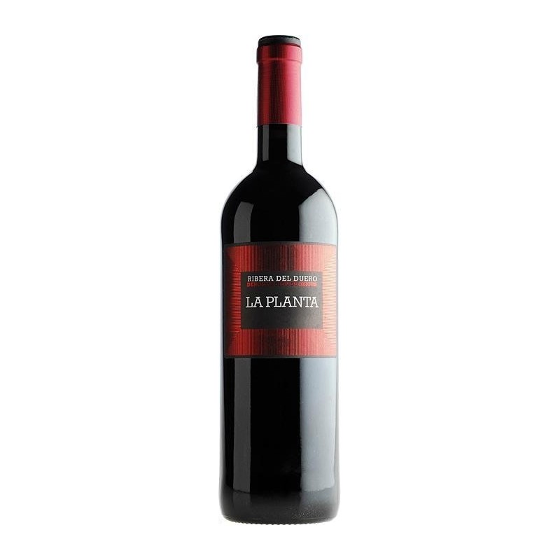 La Planta Ribera Del Duero DO 2019