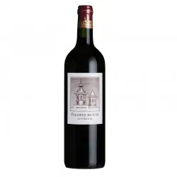 Chateau Pagodes Des Cos 2015