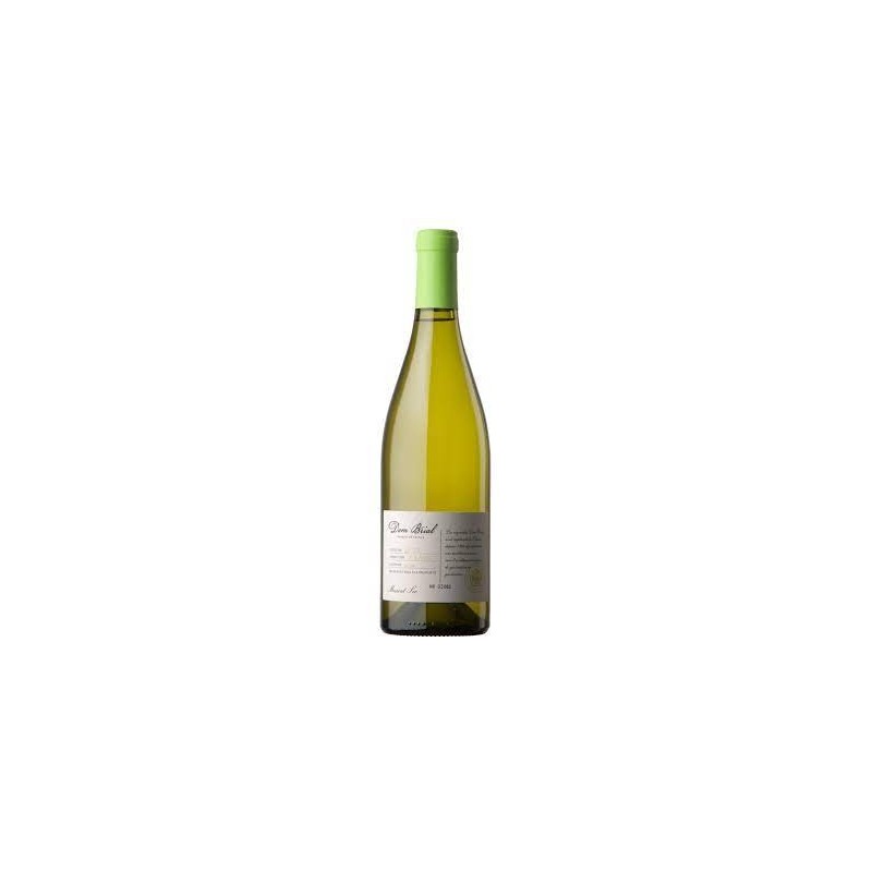 DOM BRIAL Latitude Muscat Petit Grain 2020 Vegan