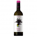 Viña Galápagos Gea Organic & Vegan Sauvignon Blanc