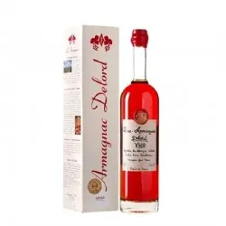 Delord Bas Armagnac VSOP