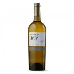 Domaine de Joy L'Envie 2020