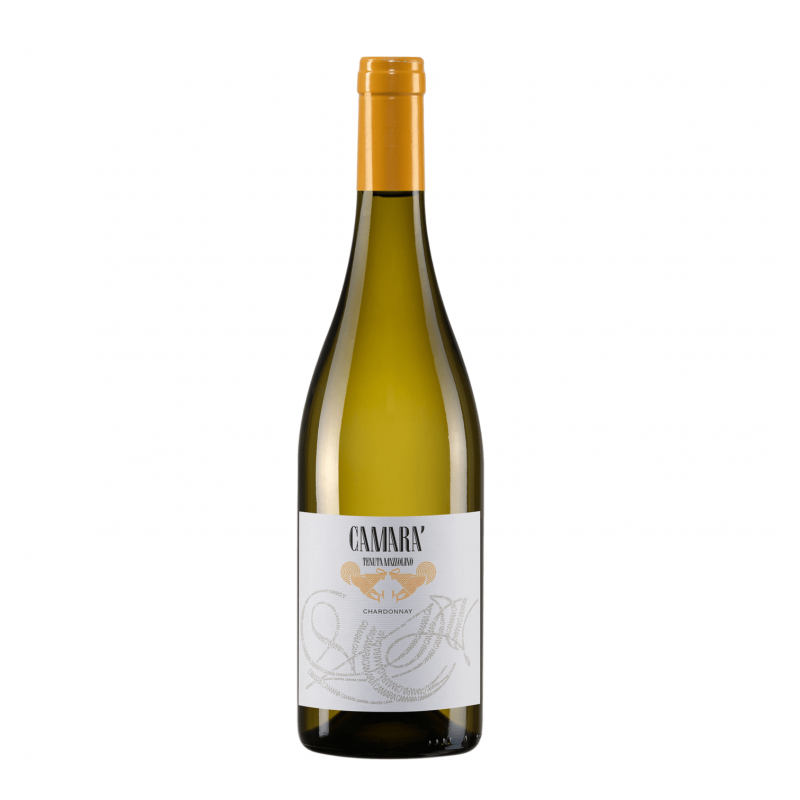Tenuta Mazzolino Camara 2022