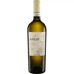 Latium Morini Soave 2017