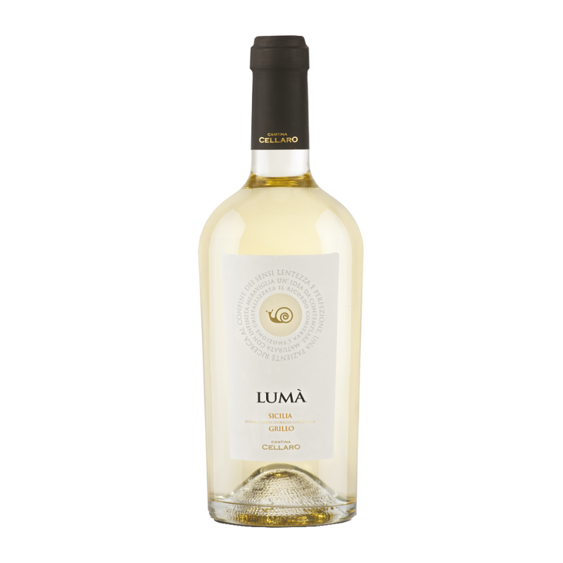 Lumà Grillo Sicilia