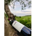 Riecine Chianti Classico 2015
