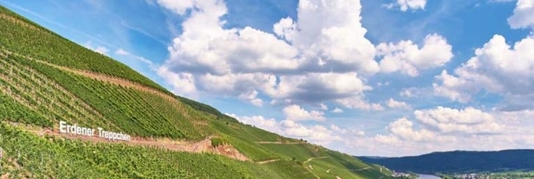 Mozelski riesling – najlepsza relacja jakości do ceny na świecie?