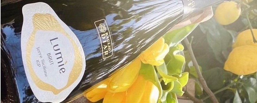 Co warto wiedzieć o winach biodynamicznych i naturalnych?