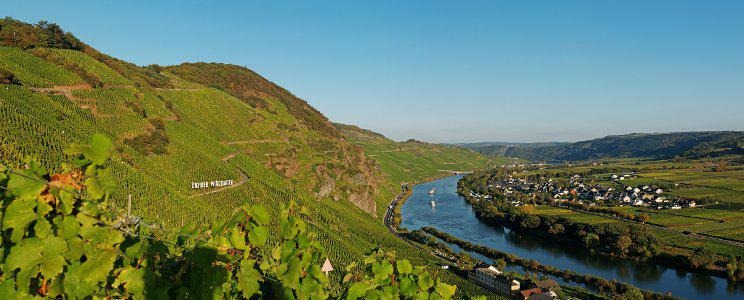 Spotkanie z Rieslingiem